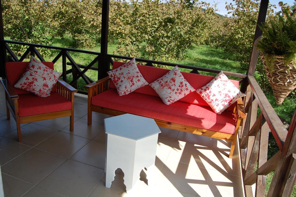 Agva Nehir Perisi Hotel Goce Room photo